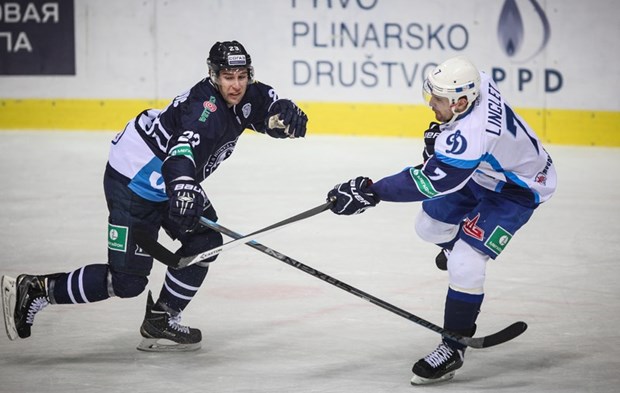 medvescak dinamom